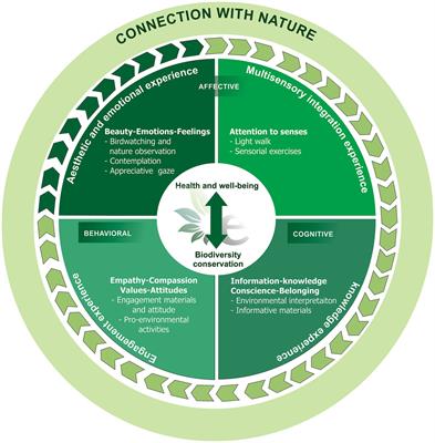 A time with e-Natureza (e-Nature): a model of nature-based health interventions as a complex adaptive system